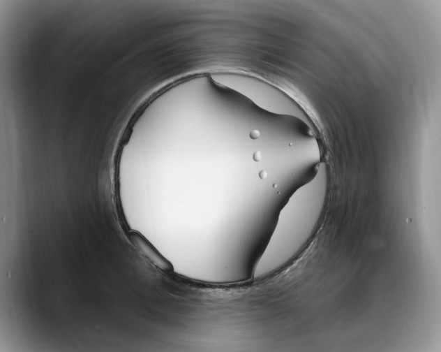 X0000089900996200707192029