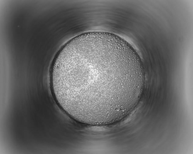 X0000089900998200707192029