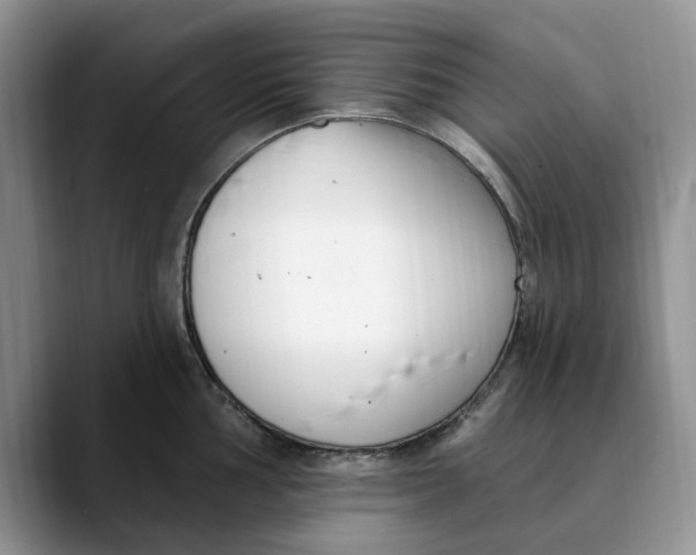 X0000089901002200707192029