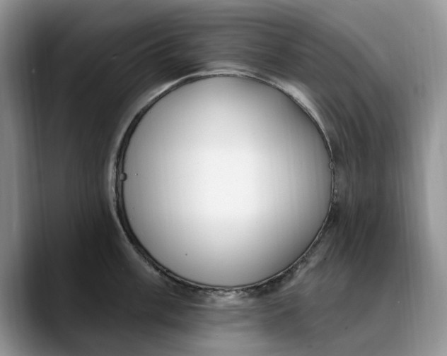 X0000089901003200707192029