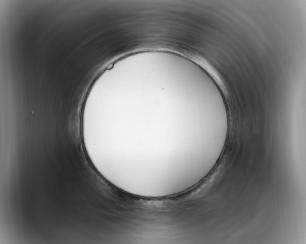 X0000089901004200707192029