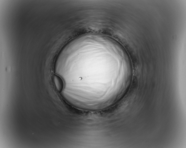 X0000089901009200707192029