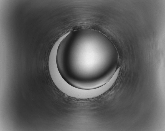 X0000089901010200707192029