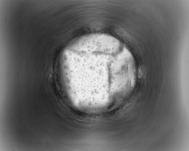X0000089901011200707192029