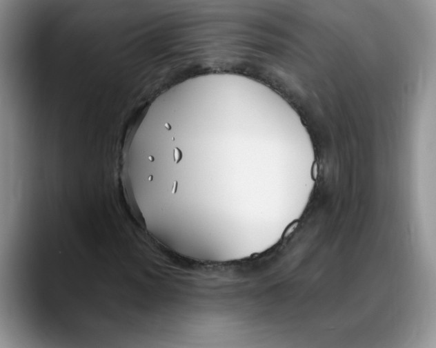 X0000089901012200707192029