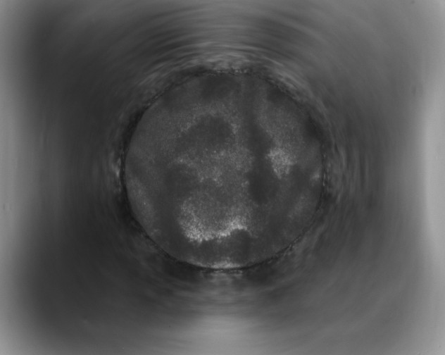 X0000089901013200707192029