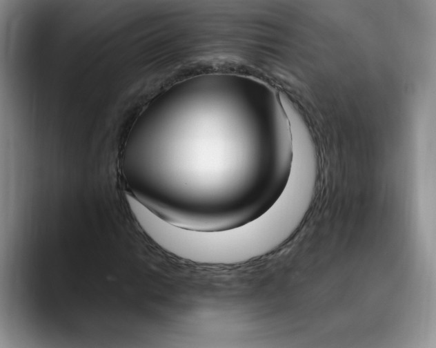 X0000089901014200707192029