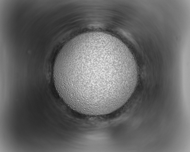 X0000089901015200707192029