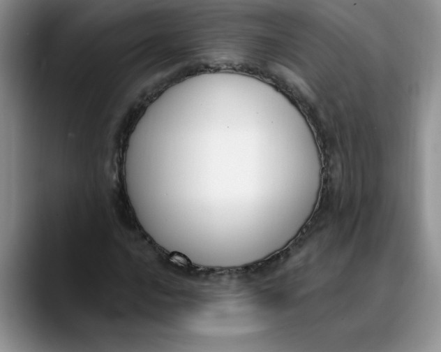 X0000089901016200707192029