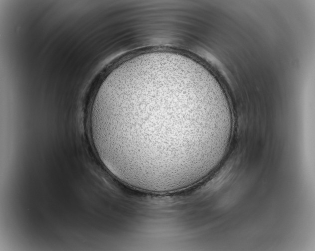 X0000089901019200707192029