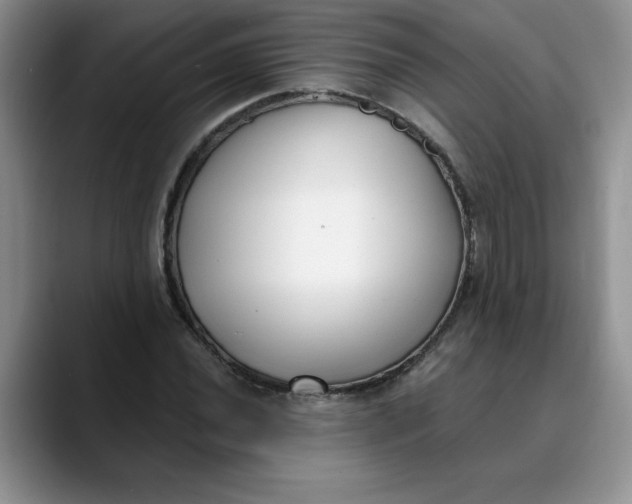 X0000089901020200707192029