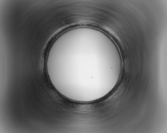 X0000089901021200707192029