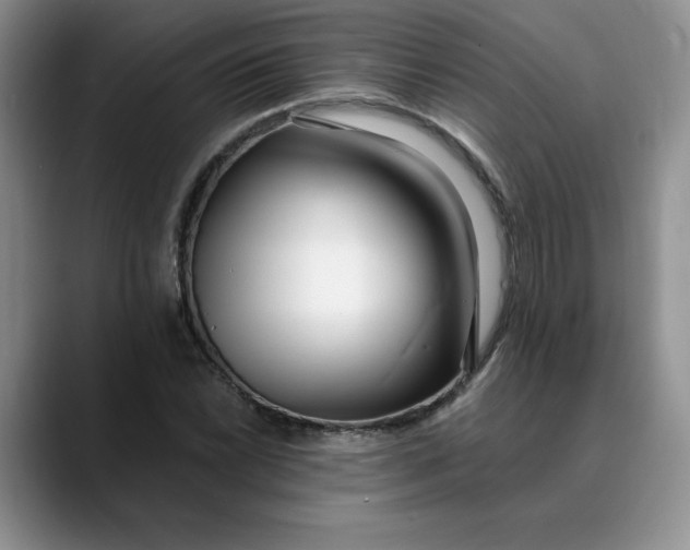 X0000089901022200707192029