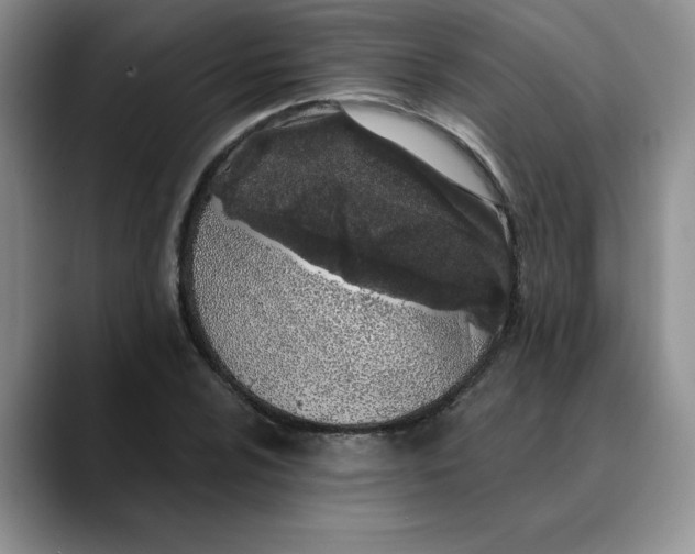 X0000089901024200707192029
