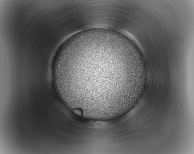 X0000089901027200707192029