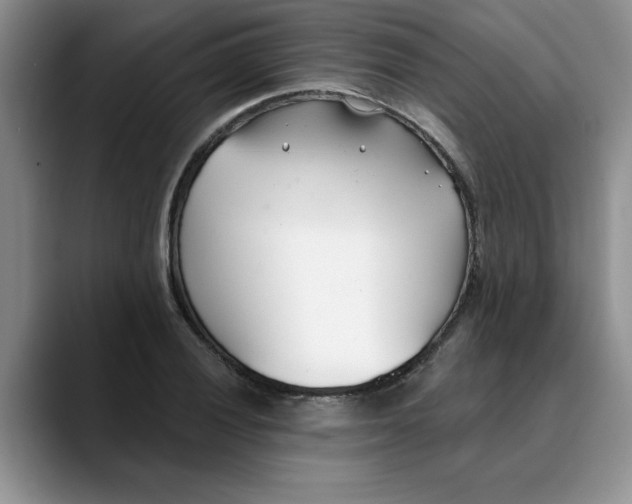 X0000089901028200707192029