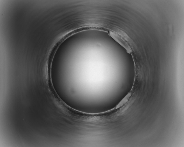 X0000089901030200707192029