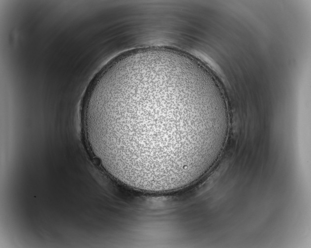 X0000089901031200707192029