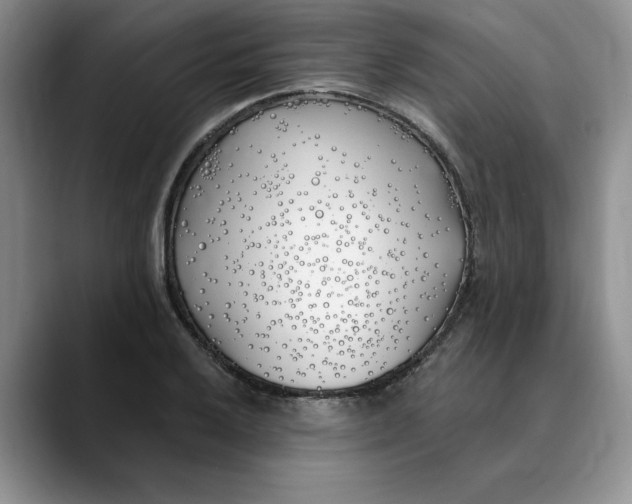 X0000089901032200707192029