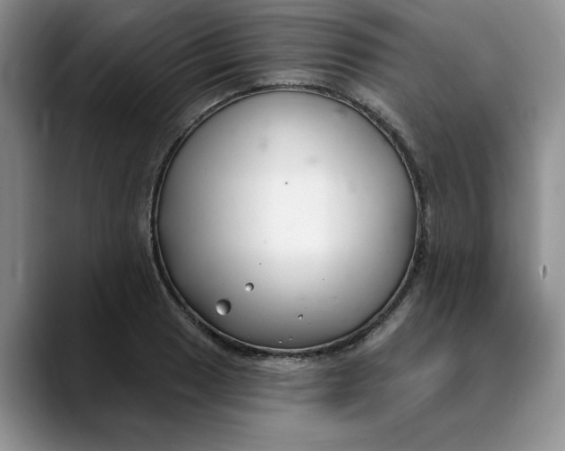 X0000089901033200707192029
