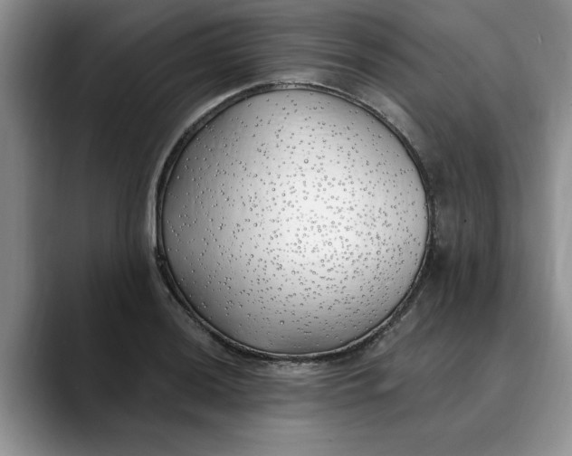 X0000089901036200707192029