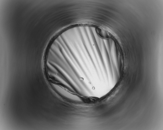X0000089901037200707192029
