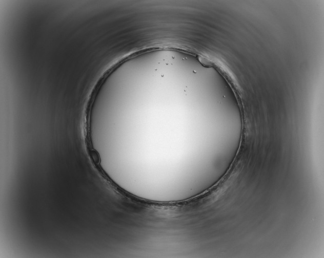 X0000089901040200707192029