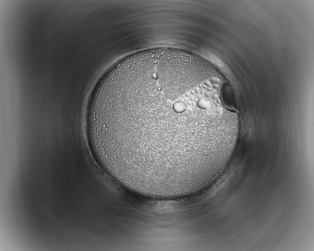 X0000089901043200707192029