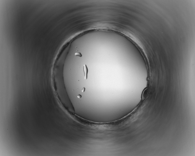 X0000089901045200707192029