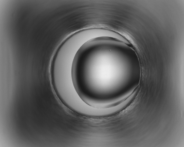 X0000089901046200707192029