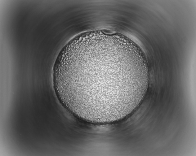X0000089901047200707192029