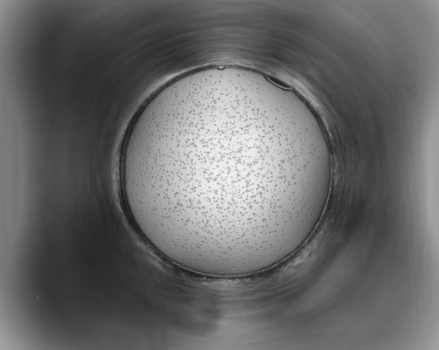 X0000089901048200707192029
