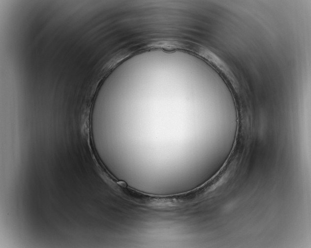 X0000089901049200707192029
