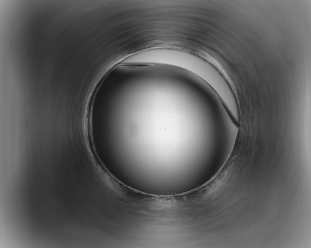 X0000089901050200707192029