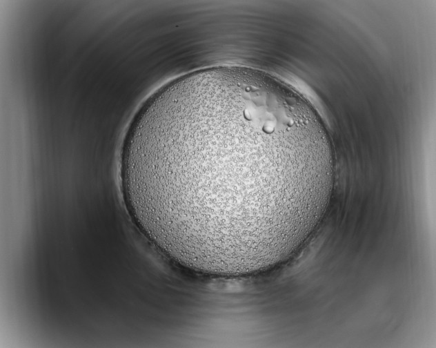 X0000089901051200707192029
