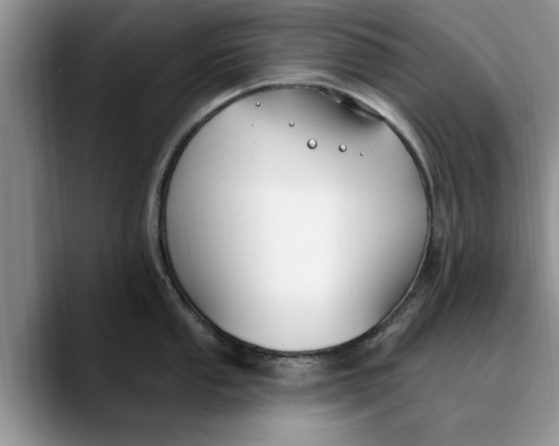 X0000089901053200707192029