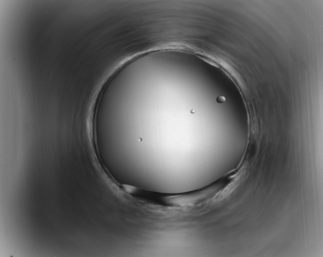 X0000089901054200707192029