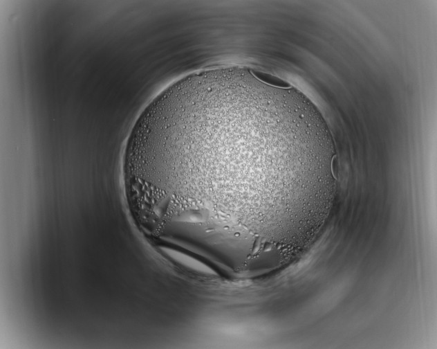 X0000089901055200707192029