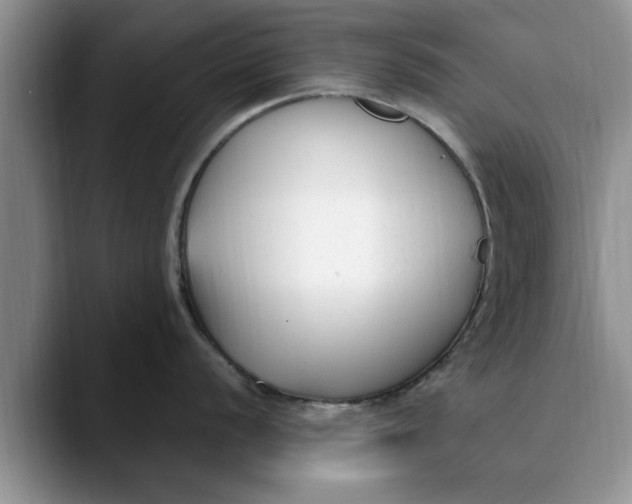 X0000089901056200707192029