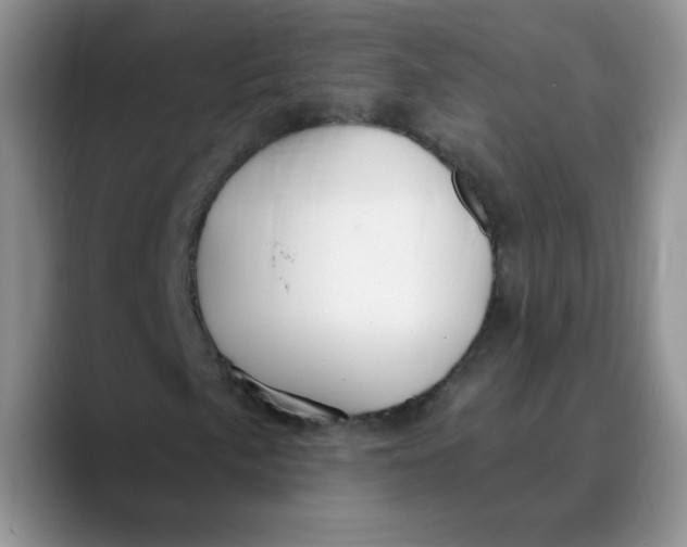 X0000089901057200707192029