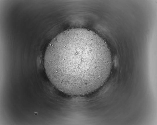 X0000089901059200707192029