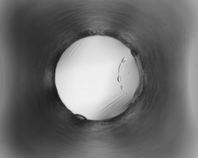 X0000089901060200707192029