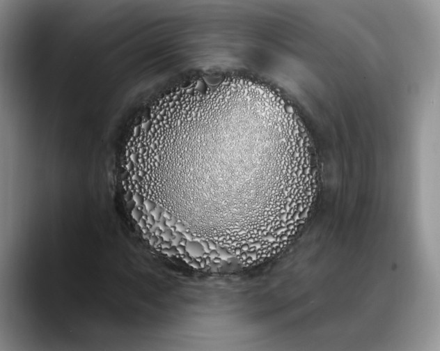 X0000089901063200707192029