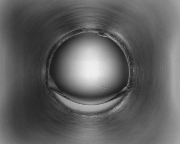 X0000089901065200707192029