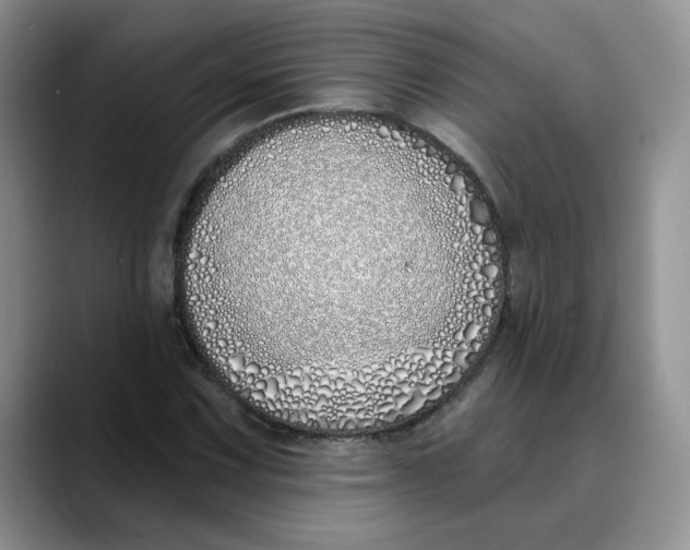 X0000089901067200707192028