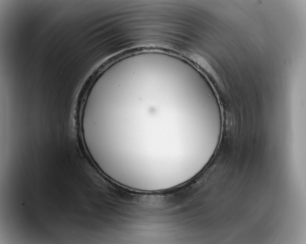 X0000089901068200707192028