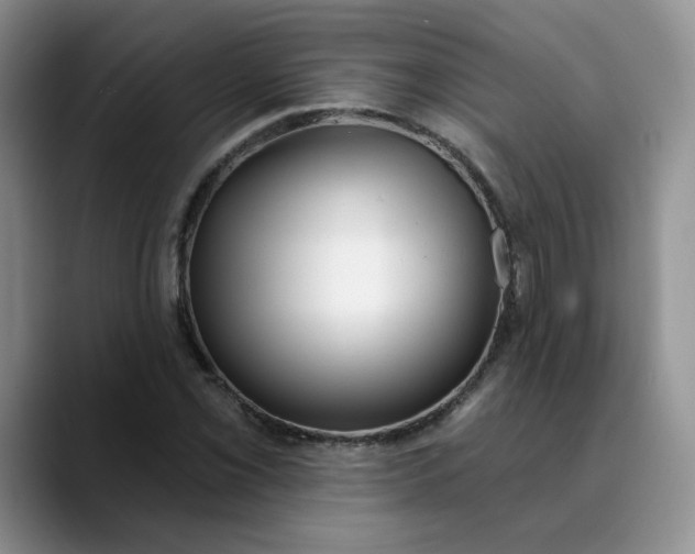 X0000089901069200707192028