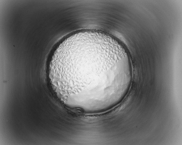 X0000089901071200707192028