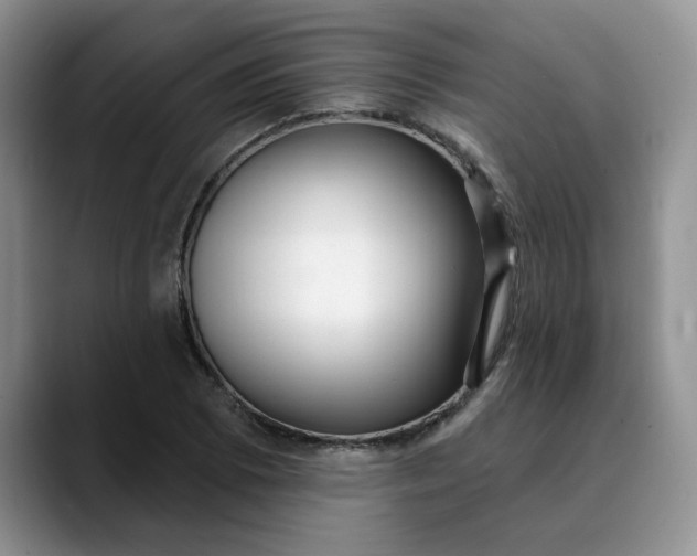 X0000089901073200707192028
