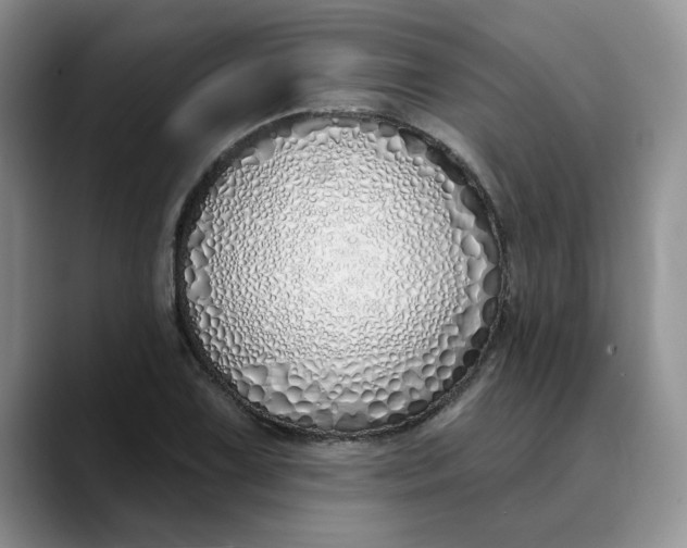 X0000089901075200707192028